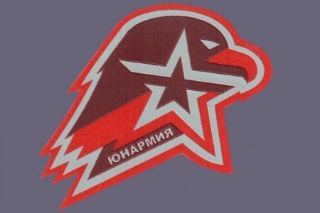 Флаг Юнармии