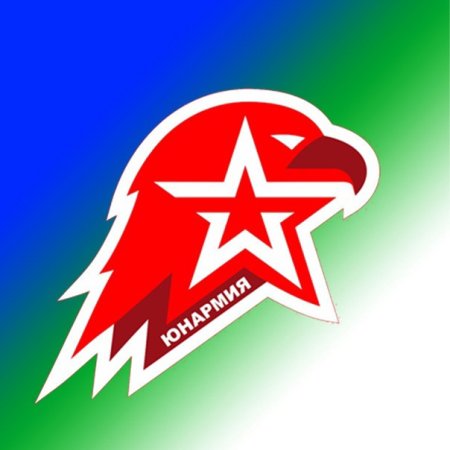Юнармия герб