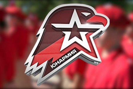 Флаг Юнармии