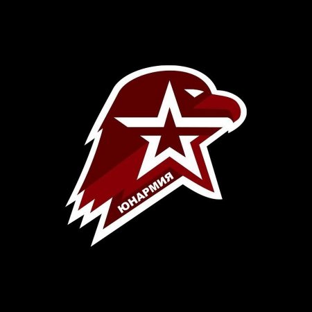 Символ Юнармии Орел