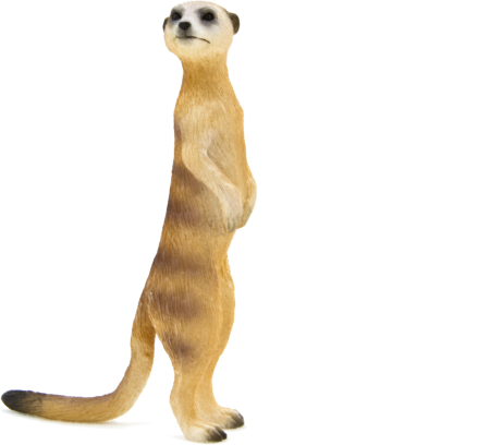 Schleich сурикат