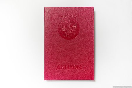 Красный диплом ЮФУ