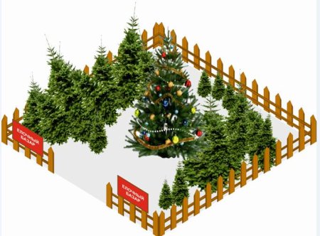 Елочные базары эскиз