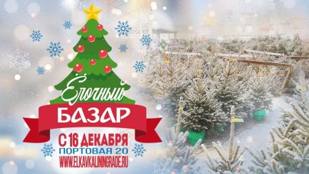 Елочный базар ограждение