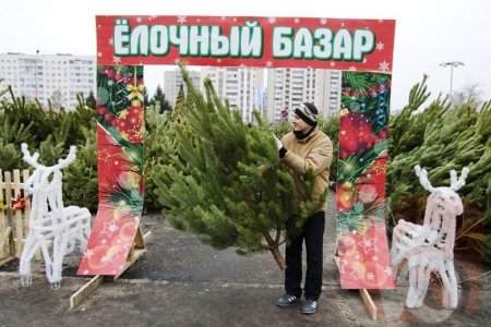 Елочные базары в Уфе