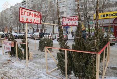 Елочный базар
