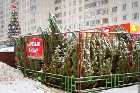 Елочный базар