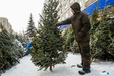 Елочный базар в Москве