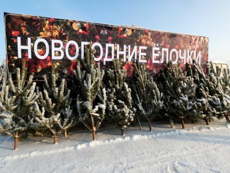 Елочный базар вывеска