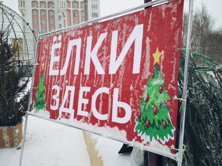 Елочный базар в сетках