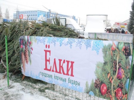 Елочные базары в Подмосковье