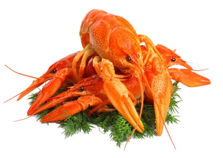 Морепродукты на прозрачном фоне