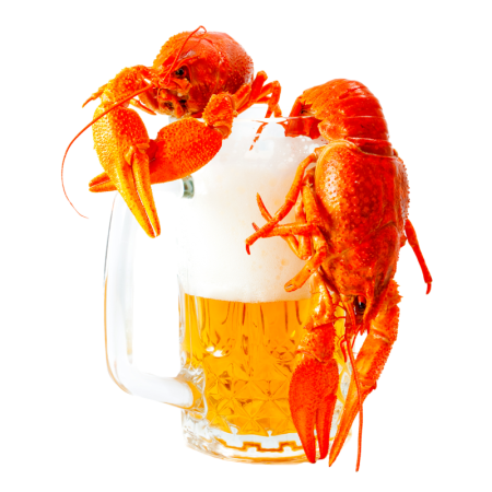Пиво с лобстером