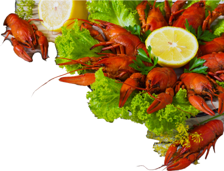 Морепродукты для фотошопа