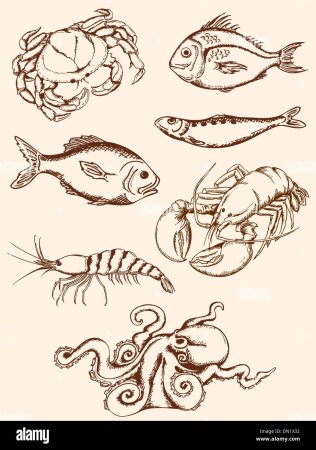 Морские гады рисунок