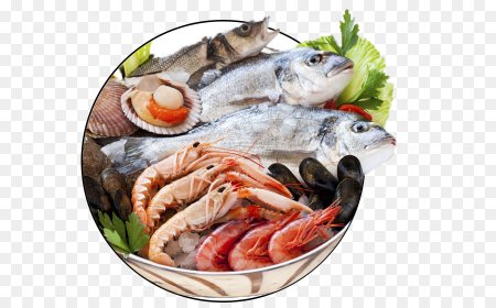 Рыба и морепродукты без фона