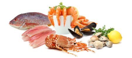 Морепродукты на белом фоне