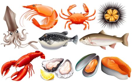 Карточки для детей рыбные продукты
