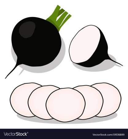 Редька мультяшная
