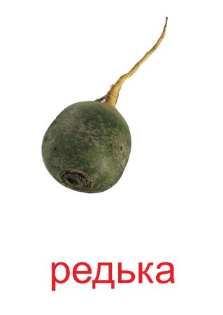 Редька карточка для детей