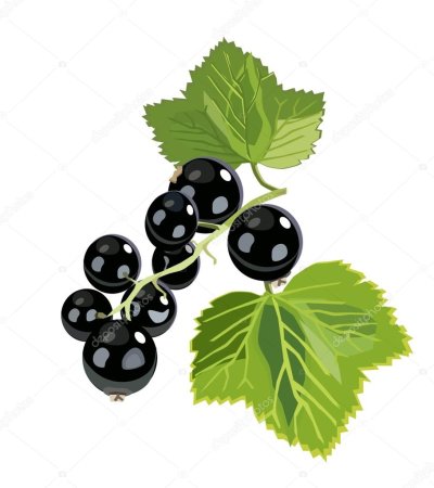 Черная смородина мультяшная