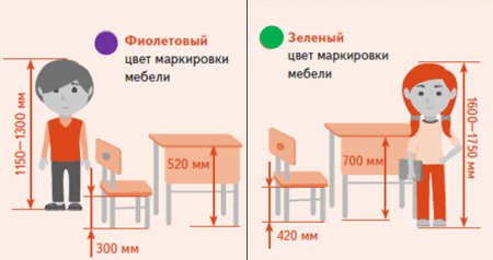 Высота стола в детском саду