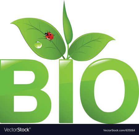 Bio рисунок