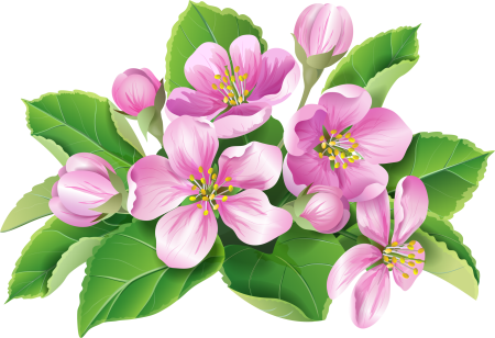 Цветы клипарт