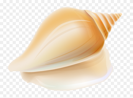 Ракушка для детей