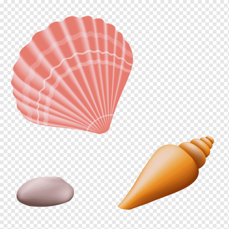 Морские раковины мультяшные