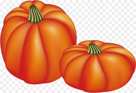 Тыква карточка для детей