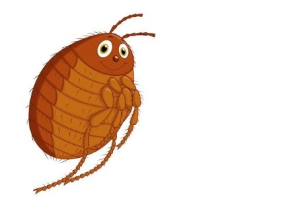 Муха Цокотуха маски героев блошки