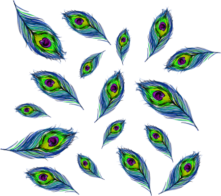 Рисование перо Жар птицы