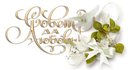 Свадебные надписи на прозрачном фоне