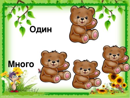 Дидактическое упражнение один много