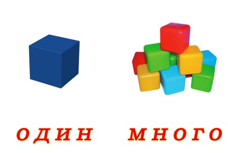Один много для дошкольников