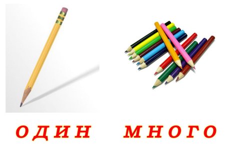 Один-много картинки для детей