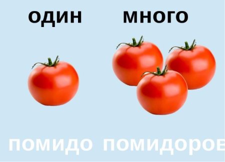 Обучающие карточки один много