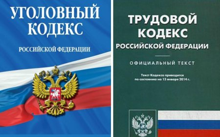 Трудовой кодекс Российской Федерации книга 2022