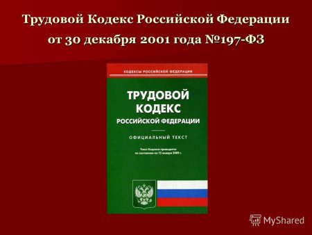 Трудовой кодекс Российской Федерации книга 2020