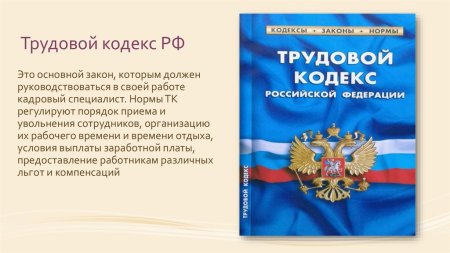 Трудовой кодекс Российской Федерации книга 2020