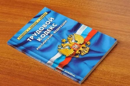 Трудовой кодекс Российской Федерации книга