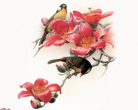 Зенг Ксяо Лянг картины