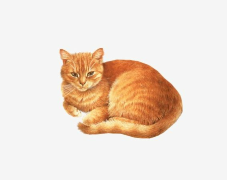 Кот мультяшка