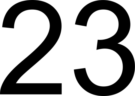 Цифра 23