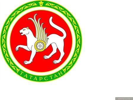 Флаг Татарстана и герб Татарстана