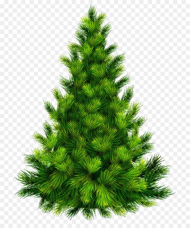 Елочка на прозрачном фоне