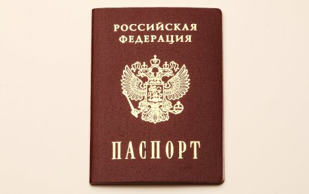 Паспорт россии клипарт (46 фото)