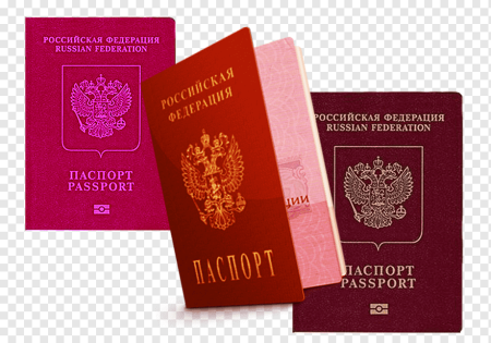 Загранпаспорт на прозрачном фоне