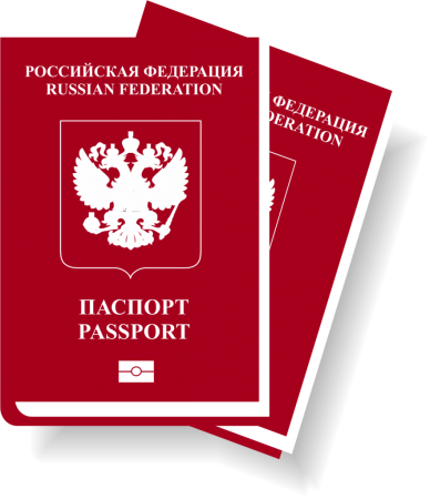 Паспорт иконка